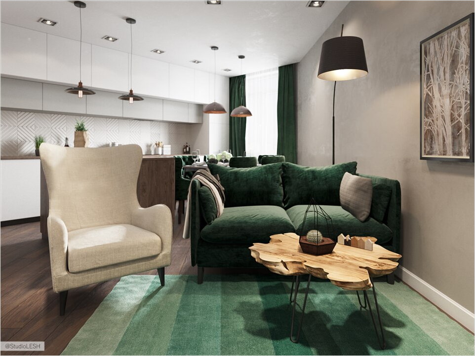 Кухня-гостиная, идеи для кухни-гостиной