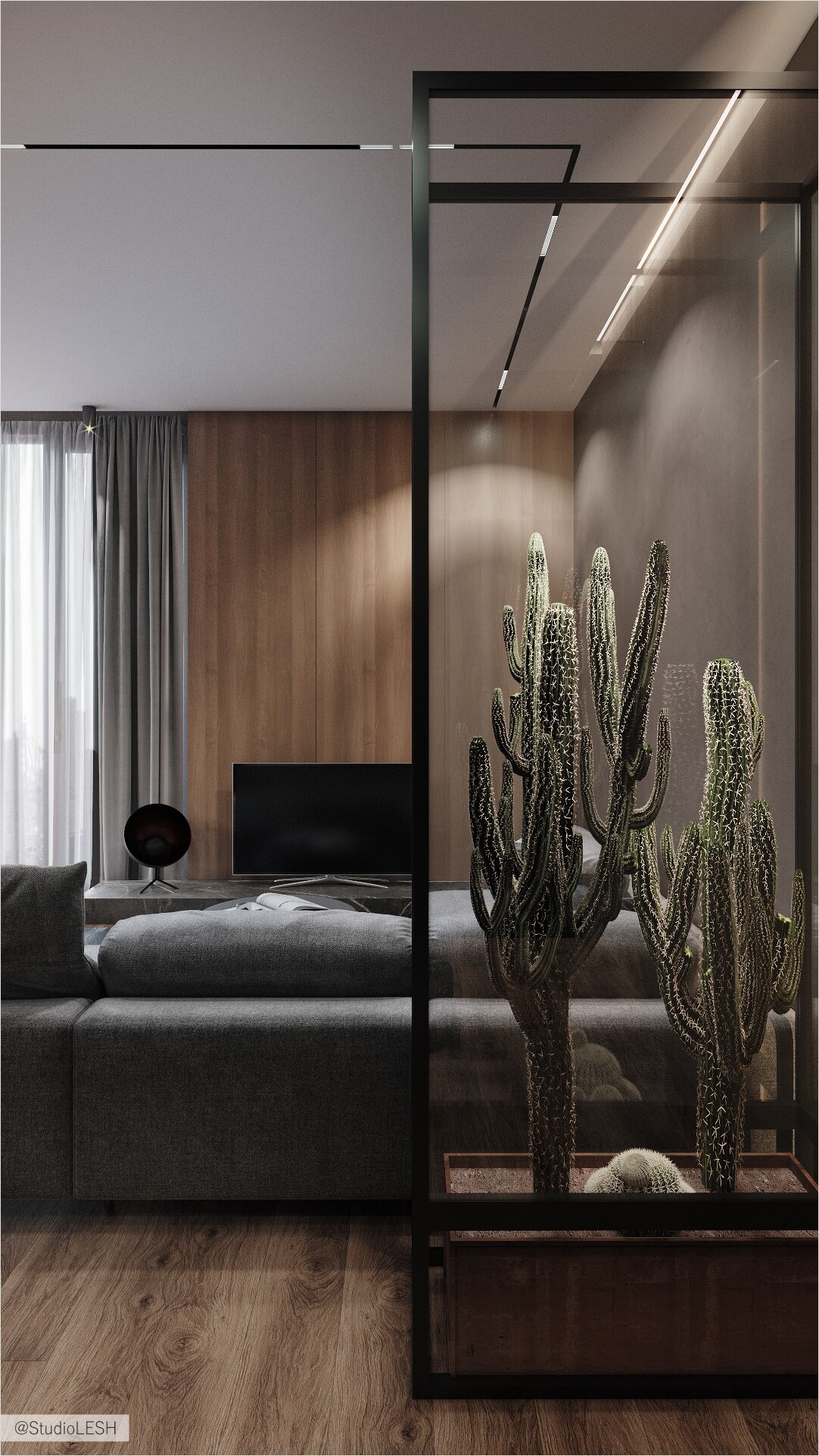 Large cactus terrarium in the interior of the living room