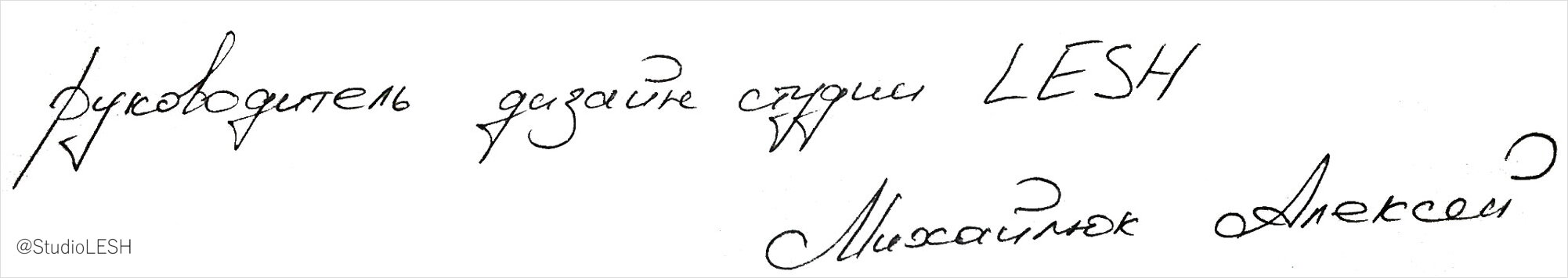 Руководитель дизайн студии LESH Михайлюк Алксей