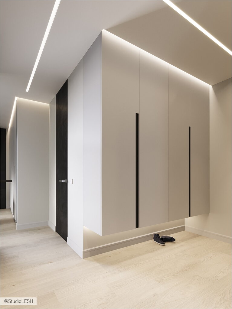 Hanging closet in the hall