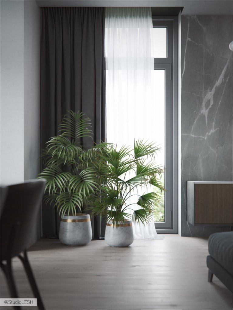 Зеленые растения в мраморных горшках в гостиной