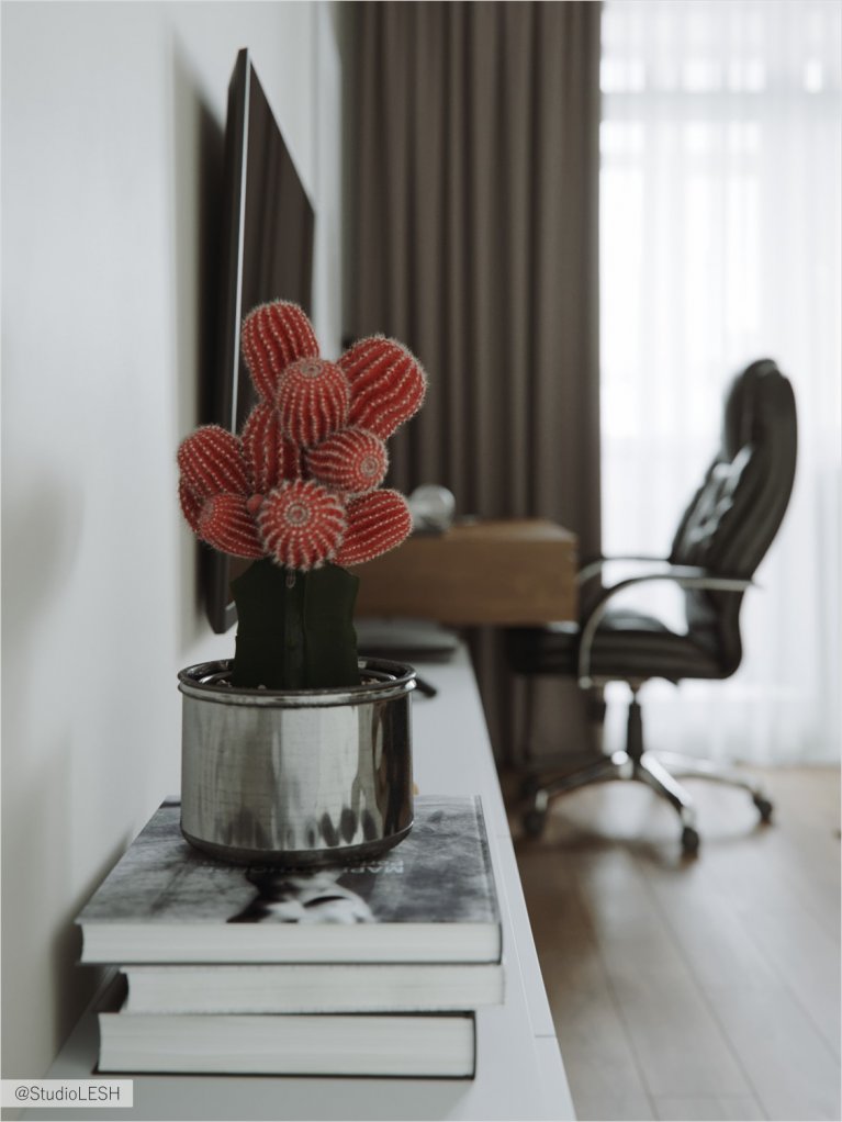 Вид на рабочую зону в кабинете