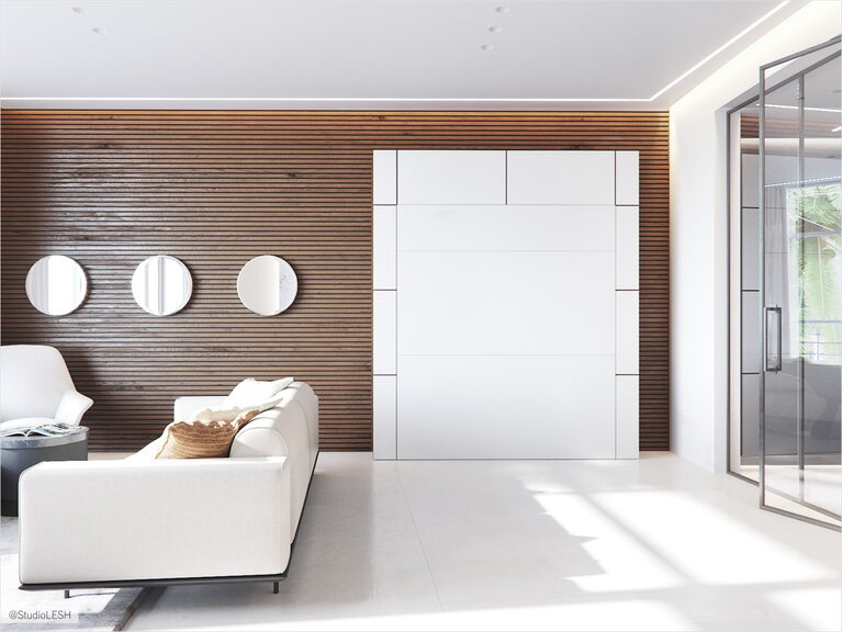  Living room-bedroom with a hidden folding bed