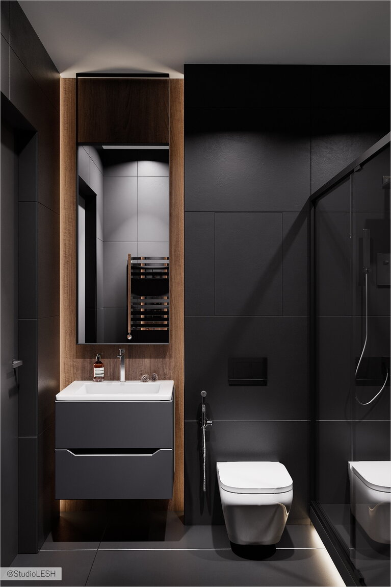 Combined bathroom in dark color