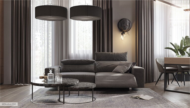 Modern design of a living room in a country house