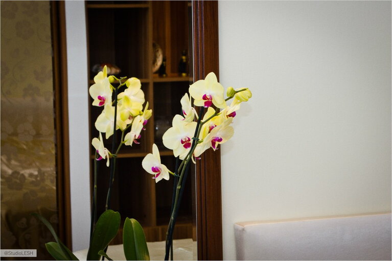 Дизайн интерьера