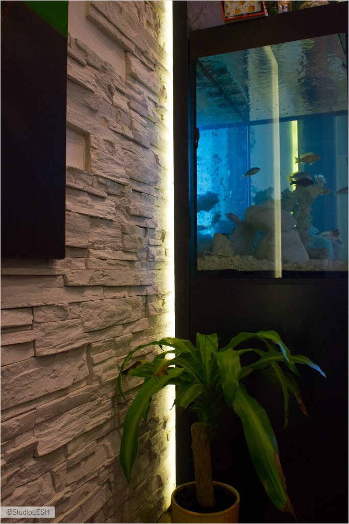 Подсветка за аквариумом 